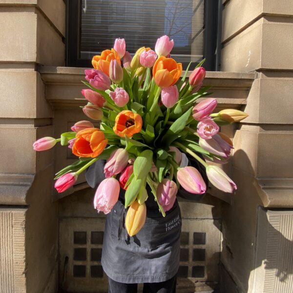 Tulips