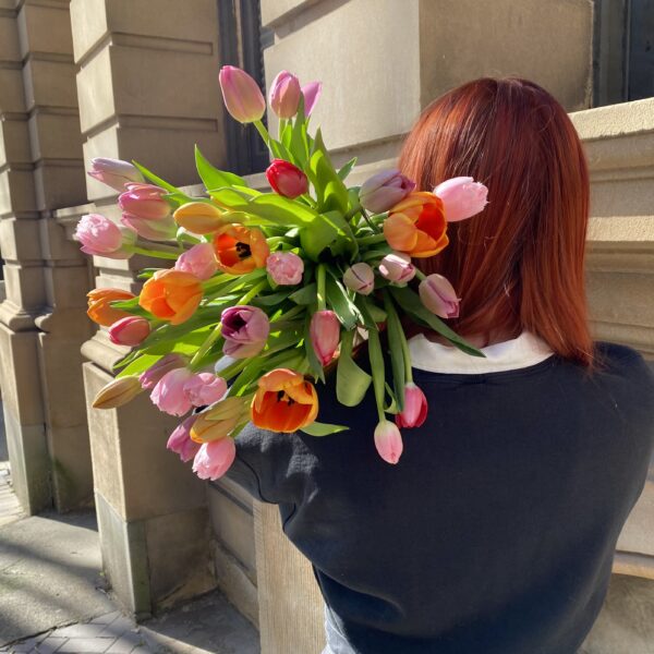 Tulips - Image 3