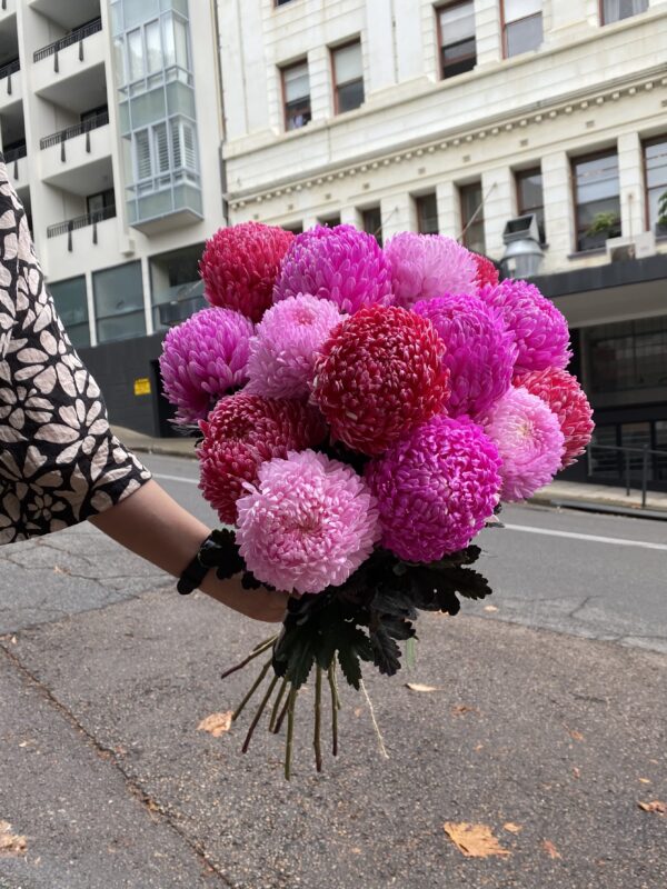 Bouquet pink flowers