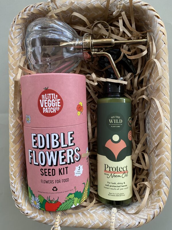 Edible flowers seed kit hamper