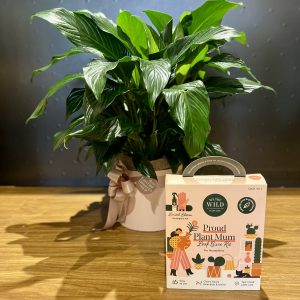 Plant MAMA Bundle