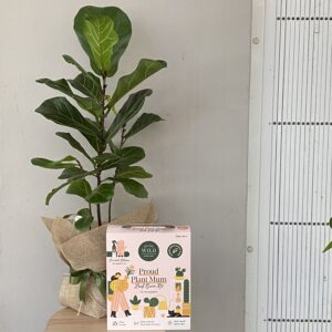 Proud Plant Mum Hamper Kit