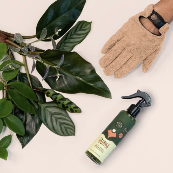 Proud Plant Mum Hamper Kit - glove, plant and spray