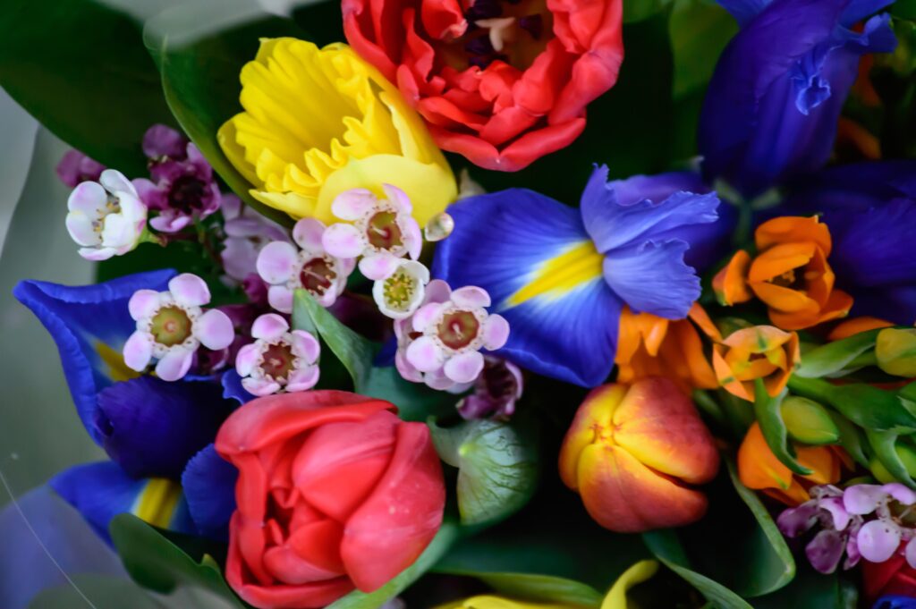 Colorful Spring flowers bouquet Tulips, Daffodils, Iris