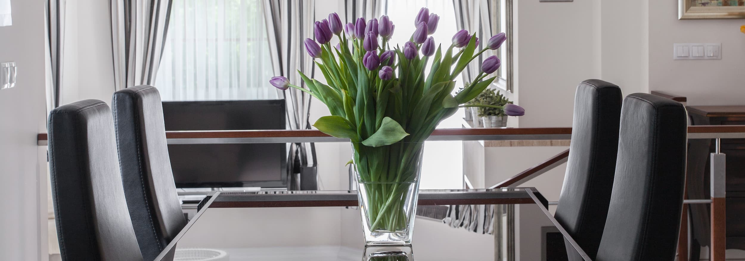 Elegant violet tulip bouquet in glass vase on modern dining table